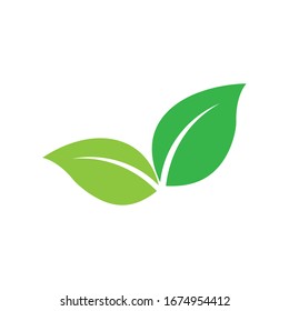 Leaf icon Vector Illustration design Logo template