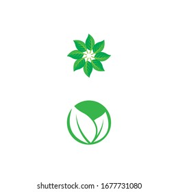 Icono de hoja Plantilla de diseño de vectores Ilustración