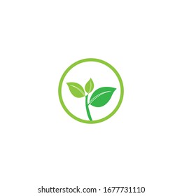 Leaf icon Vector Illustration design Logo template