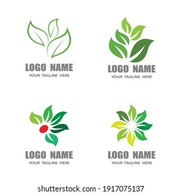 Icono de hoja Modelo de diseño de Ilustración de vectores