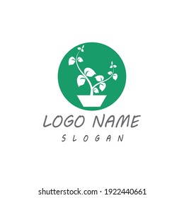 Icono de hoja Modelo de diseño de Ilustración de vectores