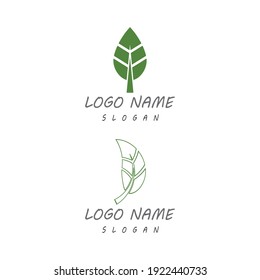 Leaf icon Vector Illustration design Logo template