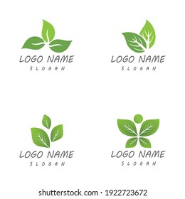 Leaf icon Vector Illustration design Logo template