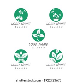 Leaf icon Vector Illustration design Logo template