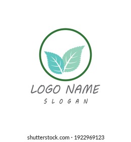Leaf icon Vector Illustration design Logo template