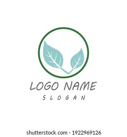Leaf icon Vector Illustration design Logo template