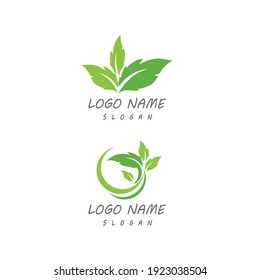 Leaf icon Vector Illustration design Logo template