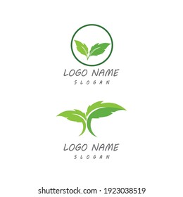 Leaf icon Vector Illustration design Logo template