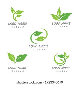 Leaf icon Vector Illustration design Logo template