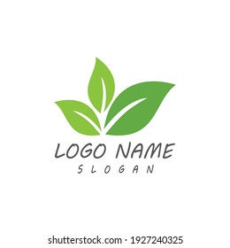 Leaf icon Vector Illustration design Logo template