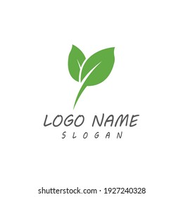 Leaf icon Vector Illustration design Logo template