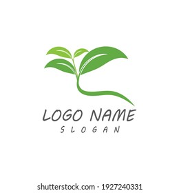 Leaf icon Vector Illustration design Logo template