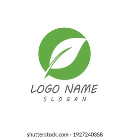 Leaf icon Vector Illustration design Logo template