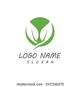 Leaf icon Vector Illustration design Logo template