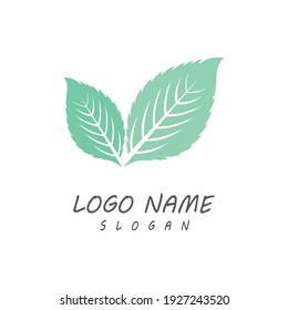 Leaf icon Vector Illustration design Logo template
