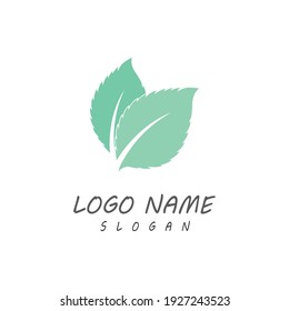 Leaf icon Vector Illustration design Logo template