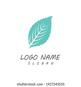 Leaf icon Vector Illustration design Logo template