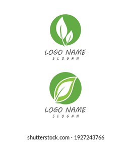 Icono de hoja Modelo de diseño de Ilustración de vectores
