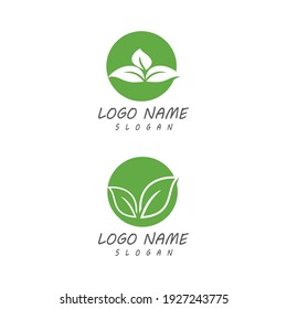 Leaf icon Vector Illustration design Logo template