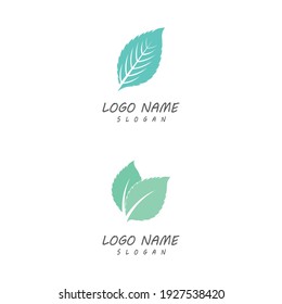 Leaf icon Vector Illustration design Logo template