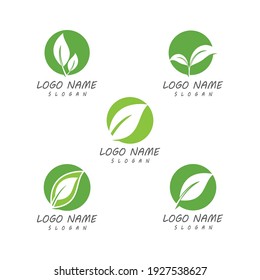 Leaf icon Vector Illustration design Logo template
