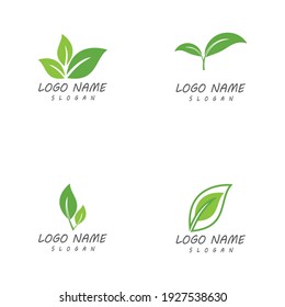 Leaf icon Vector Illustration design Logo template