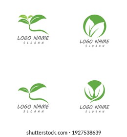Leaf icon Vector Illustration design Logo template