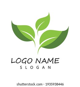 Leaf icon Vector Illustration design Logo template