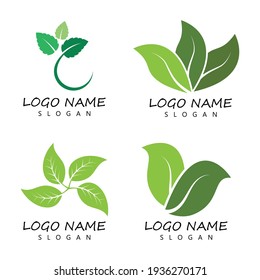 Leaf icon Vector Illustration design Logo template