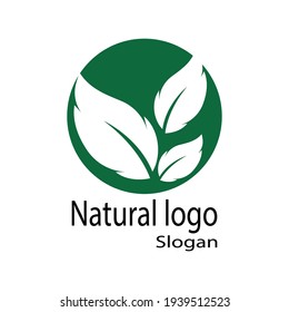 Leaf icon Vector Illustration design Logo template
