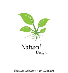 Icono de hoja Modelo de diseño de Ilustración de vectores