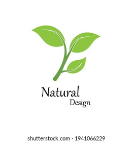 Leaf icon Vector Illustration design Logo template