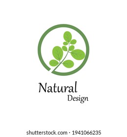 Icono de hoja Modelo de diseño de Ilustración de vectores