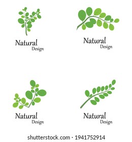 Icono de hoja Modelo de diseño de Ilustración de vectores