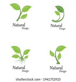 Icono de hoja Modelo de diseño de Ilustración de vectores