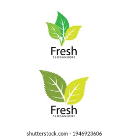 Leaf icon Vector Illustration design Logo template
