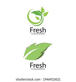 Leaf icon Vector Illustration design Logo template