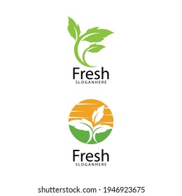 Leaf icon Vector Illustration design Logo template