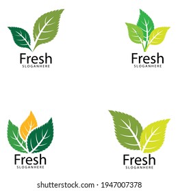 Leaf icon Vector Illustration design Logo template