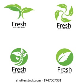 Leaf icon Vector Illustration design Logo template