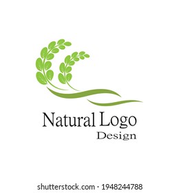 Leaf icon Vector Illustration design Logo template