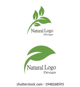 Icono de hoja Modelo de diseño de Ilustración de vectores