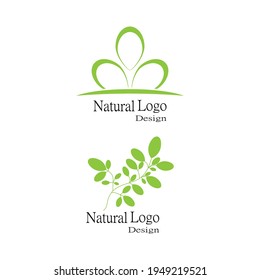 Icono de hoja Modelo de diseño de Ilustración de vectores