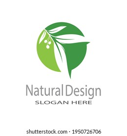 Leaf icon Vector Illustration design Logo template
