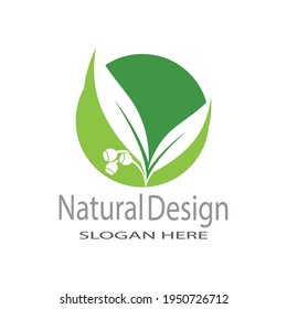 Leaf icon Vector Illustration design Logo template