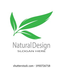 Leaf icon Vector Illustration design Logo template