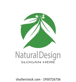 Leaf icon Vector Illustration design Logo template