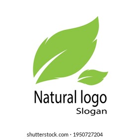 Leaf icon Vector Illustration design Logo template