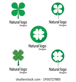 Icono de hoja Modelo de diseño de Ilustración de vectores