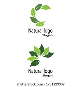 Icono de hoja Modelo de diseño de Ilustración de vectores